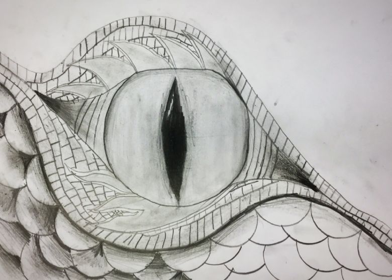 Willingham Primary School Dragons Eyes Ks2
